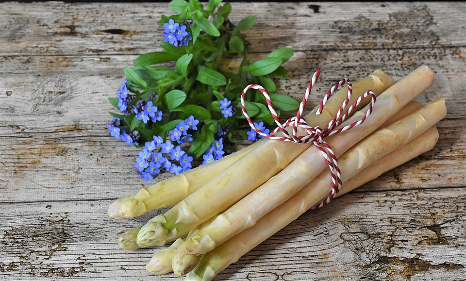 white asparagus