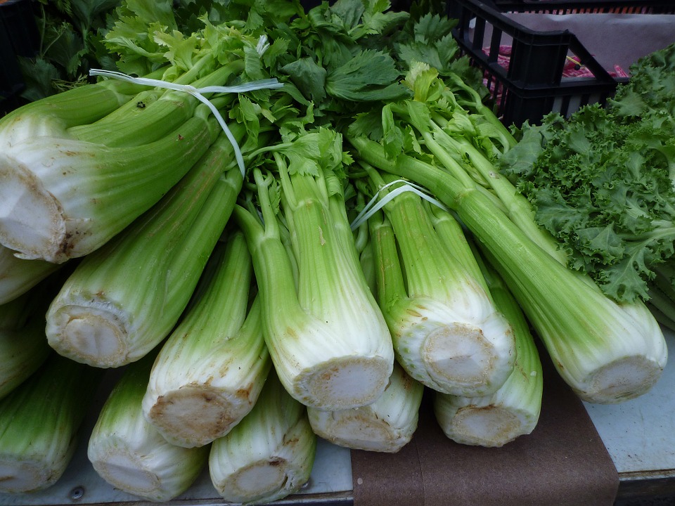 a bunch of celery