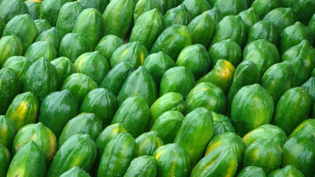 green papaya at the market