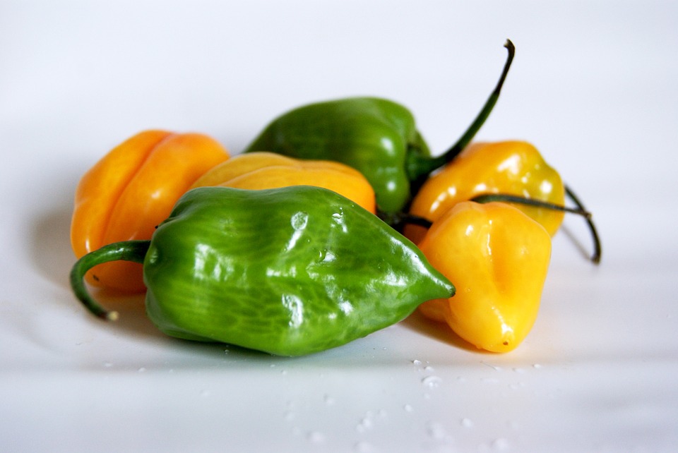 Habanero Peppers