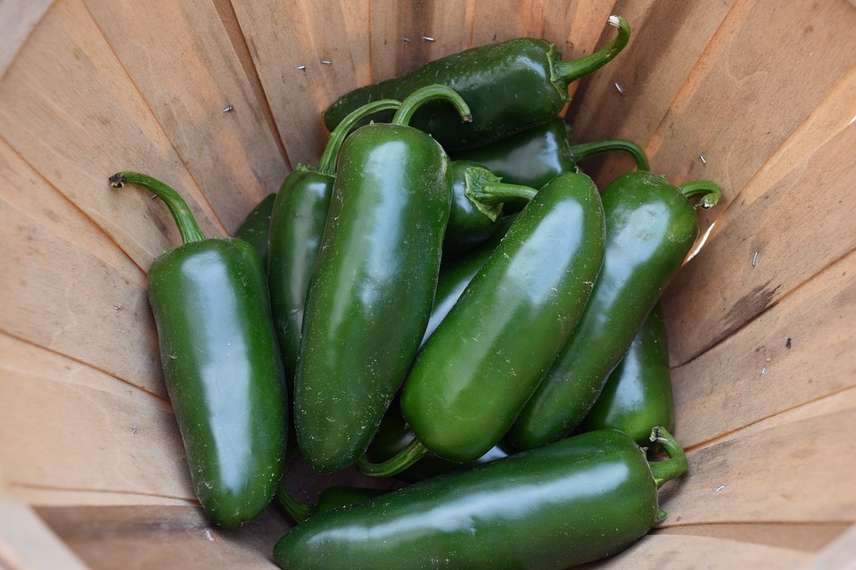 Jalapeño Peppers