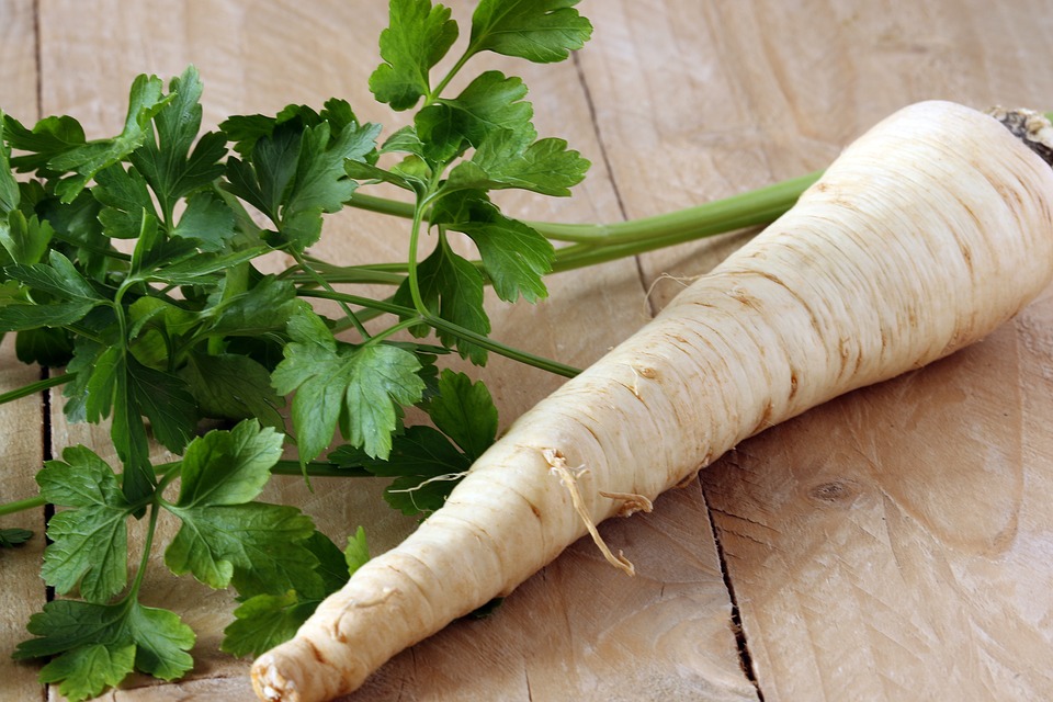 parsnip root and parsley leaves