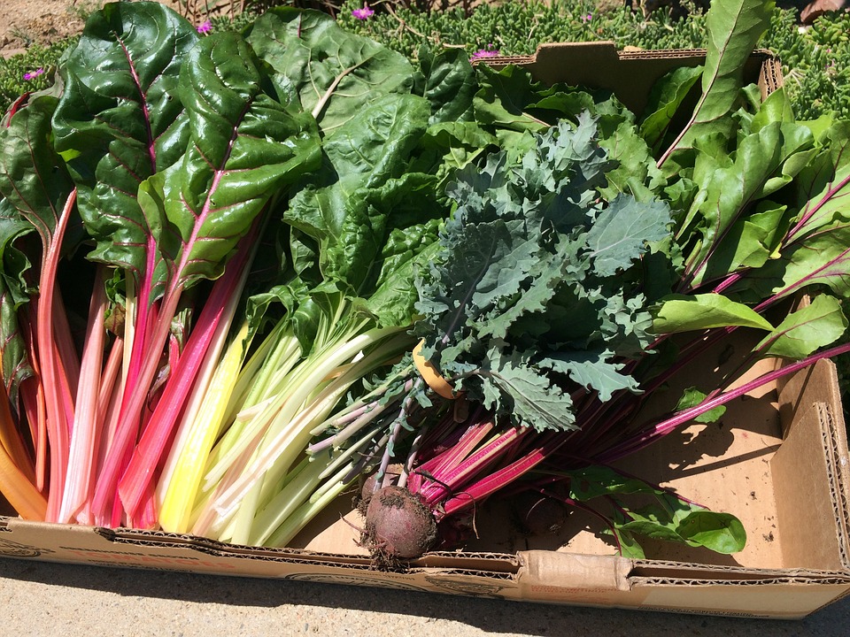 Swiss chard and kale