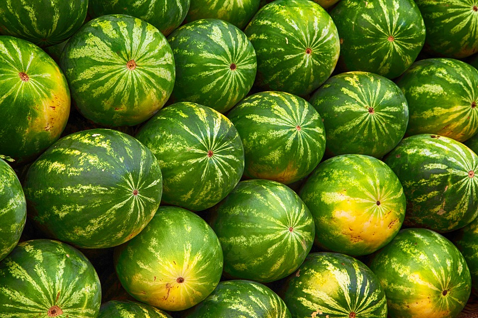 watermelon pile